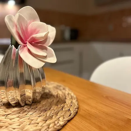 Am Mainplatz Apartament *